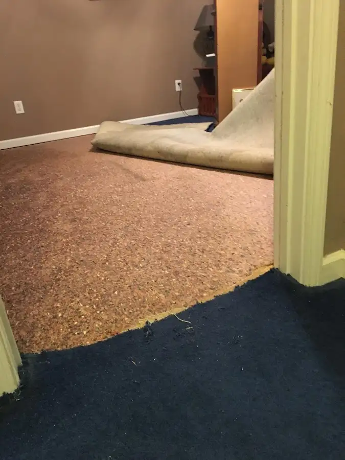 Carpet pad removal revealing water damage during Drying & Dehumidification in Cloverdale