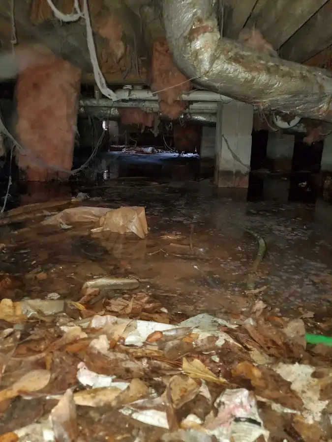 Crawl space flood assessment for Leak Detection & Repair in Cloverdale