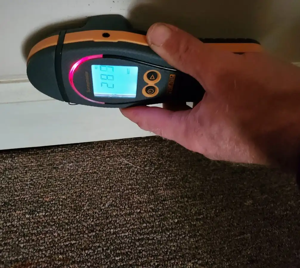Moisture detection at baseboard during Sewage Cleanup & Sanitation in Cloverdale